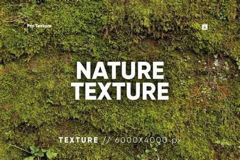 15+ Grass Photoshop Brushes, Textures & Patterns | Design Shack