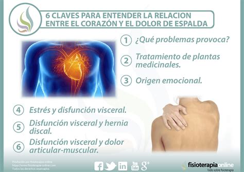 Dolor En Los Pulmones Causas SEONegativo