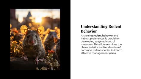 Effective Strategies For Rodent Management A Comprehensive Approach To