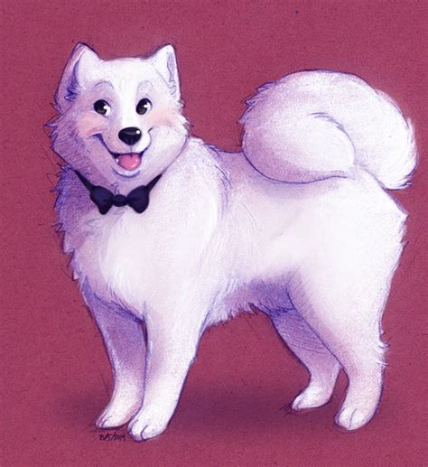 261541 Safe Artistcassie Draws Canine Dog Mammal Samoyed