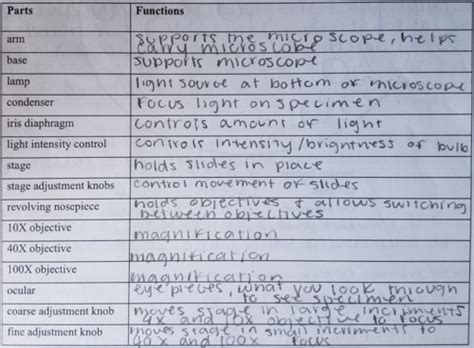 Lab Exam Study Guide Biol Stella Doyungan Flashcards Quizlet