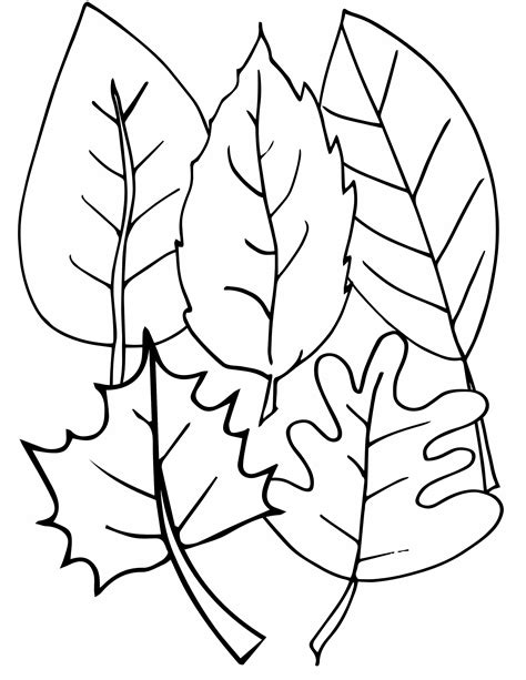 Simple Leaf Coloring Page