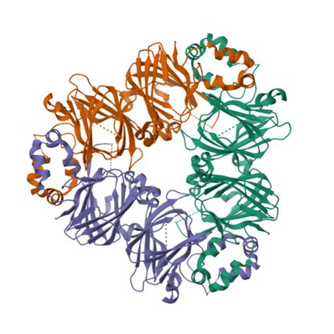 RCSB PDB 2CV6 Crystal Structure Of 8Salpha Globulin The Major Seed