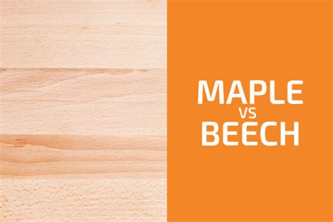 Maple Vs Beech Which One To Use Handyman S World