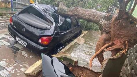 São Lourenço temporal derruba 30 árvores supermercado é atingido por