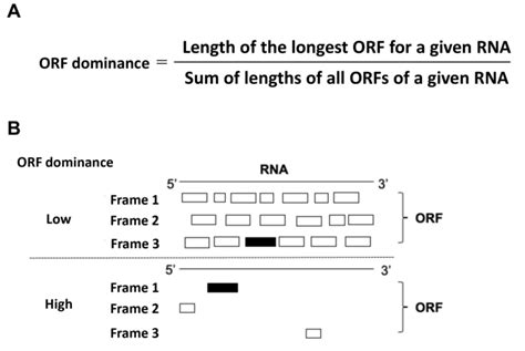 Definition Of Orf Dominance A Formula Defining Orf Dominance B Orf