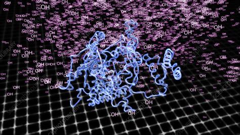 Alkali denaturing protein - Stock Video Clip - K004/3257 - Science Photo Library