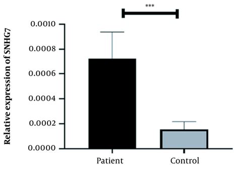 Upregulation of SNHG7 and FAIM2 Expression Levels in Chronic ...