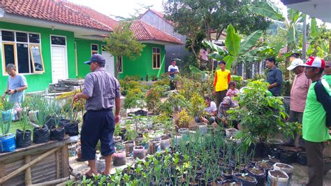 Pemanfaatan Lahan Pekarangan Ipphti Pangandaran