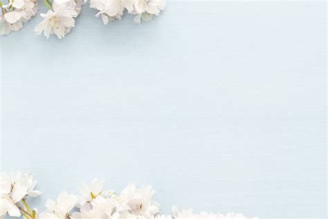 Sky Blue Flower Background