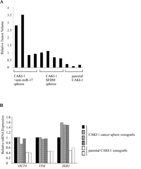 Caki 1 Cancer Spheres Form Larger Xenograft Tumors With Increased Emt Download Scientific