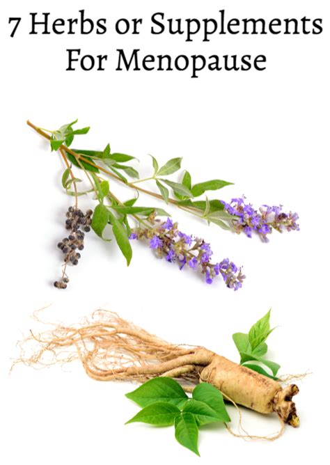 Vitex Chasteberry Herb Benefits Uses For Women Artofit