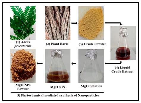 Bioengineering Free Full Text Green Synthesis Of Magnesium Oxide