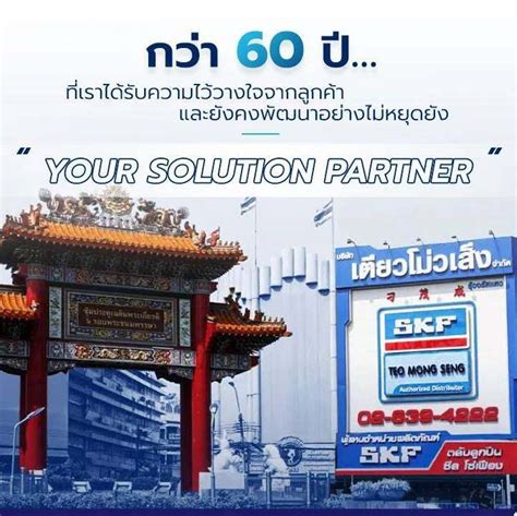 TMMP 3x185 SKF เครองถอดลกปน เหลกดดลกปน 3 ขา TMS