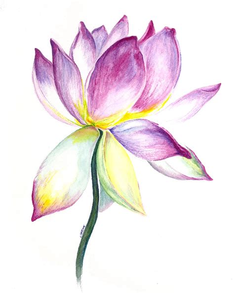 Items similar to Lotus Flower Watercolor Painting on Etsy