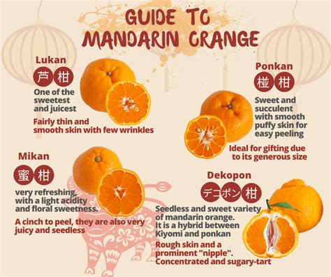 Nak Beli Limau Mandarin Kena Tahu Dulu Jenis Limau Mandarin Yang Sedap