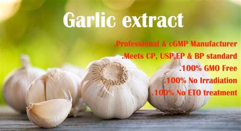 Garlic Extract Allium Sativum Garlic Extract Manufacturer Purelife Bio