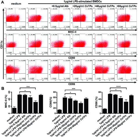 Effect Of CsTPs On Expressions Of Co Stimulatory Molecules On