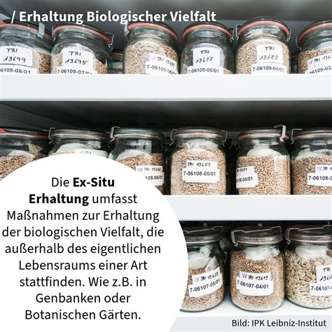 Bdp Pflanzenz Chtung Herausforderungen Biodiversit T