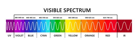 Visible Light Spectrum Wavelength Ray Nanometer Eyesight Off