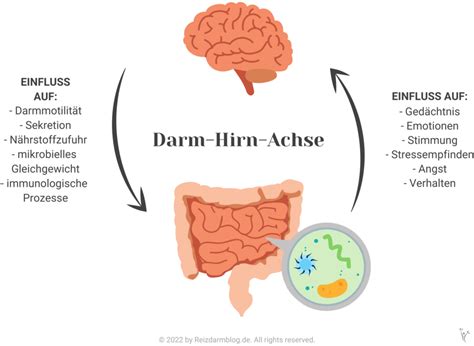 Symptome Beim Reizdarmsyndrom Reizdarmblog De