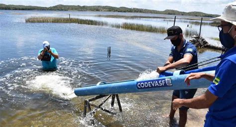 Codevasf realiza peixamento e fornece mudas de árvores no município de