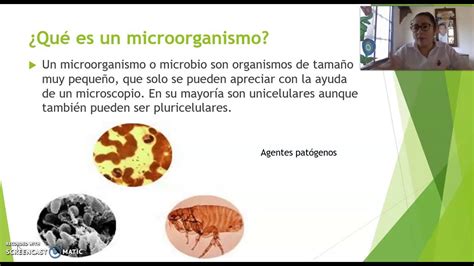 Microorganismos Clase Quinto Youtube