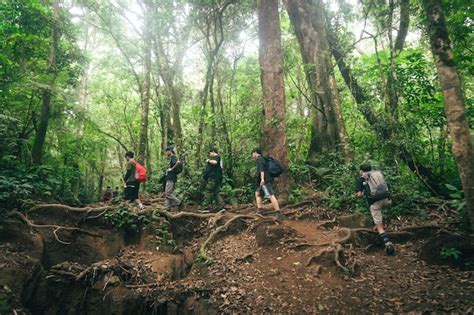 Premium Photo Photo Of A Trip To Mount Gede Pangrango Hiking