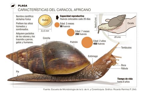 Pin En Infografías El Colombiano