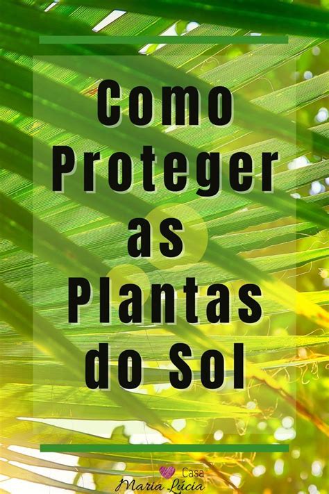 The Words Como Proteger As Plantas Do Sol