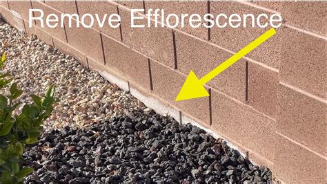 Remove Efflorescence White Stuff From Your Wall YouTube