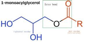 Ester Bond: Structure, Properties, Synthesis, Hydrolysis