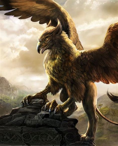 Gryphon Mythical Creatures Art Fantasy Creatures Fantasy Beasts