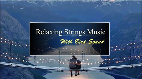 Relaxing Strings With Birds Sound YouTube