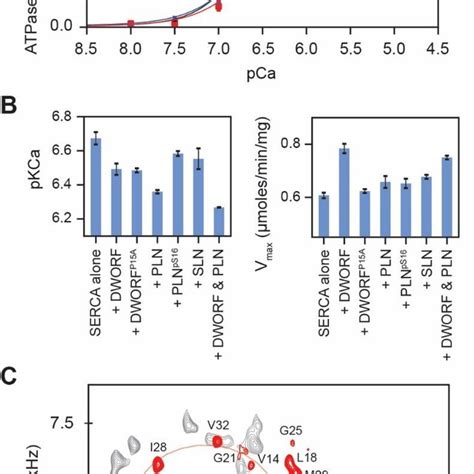 P Type Atpase Catalytic Cycle And Structures Of Ca 2 And Cu