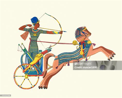 Ancient Egyptian Chariot Archer Warfare In The Ancient World High Res