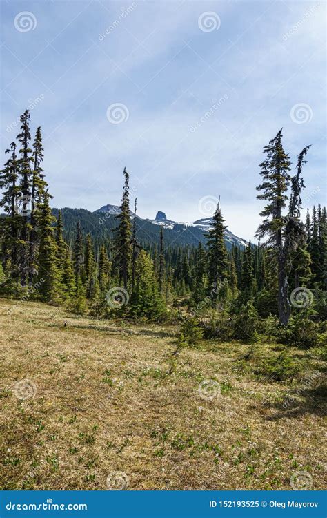 Scenic View Of Green Medow With Distant Black Tusk Mountain Summer