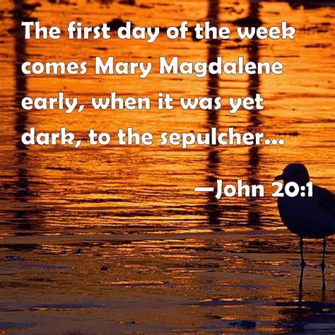 John 20 1 The First Day Of The Week Comes Mary Magdalene Early When It Was Yet Dark To The