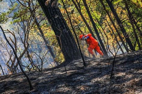 Gobierno prohíbe las quemas agrícolas para evitar los incendios