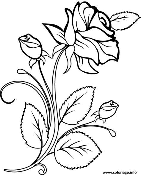 Coloriage Rose Et Coeur Jecolorie