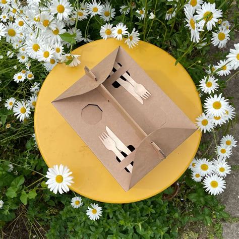 Take Away Box Met Handvat Picknick Box Van Karton