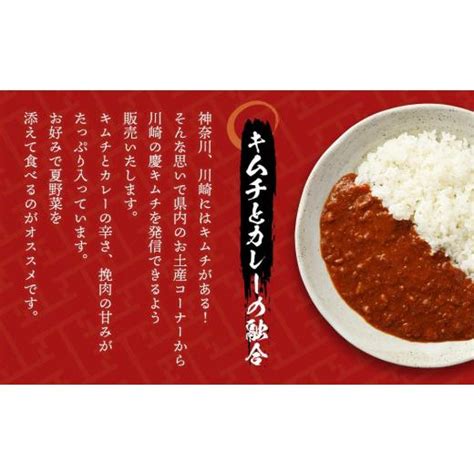 ふるさと納税 神奈川県 川崎市 「慶」キムチのカレーと白菜＆オイキムチセット 4717387ふるさとチョイス 通販 Yahoo