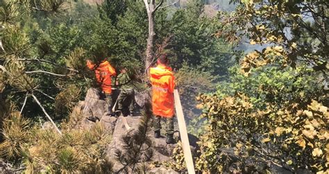 11 ditë betejë nga toka dhe ajri shuhen 163 vatra zjarri Ministria e