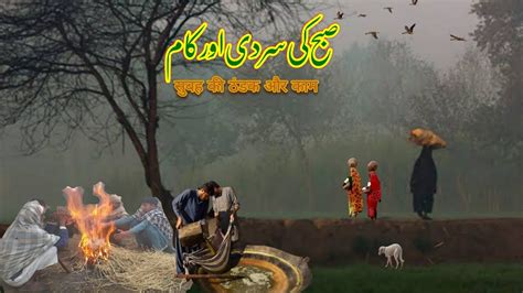 Early Morning In Village Punjab Most Beautifull Village Life In Winter