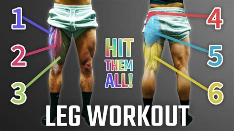 Leg Workout 6 Type Of Leg Exercise Focus On Strength And Endurance Youtube