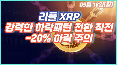 리플 Xrp 강력한 하락패턴 전환 직전 20 하락 주의 Youtube