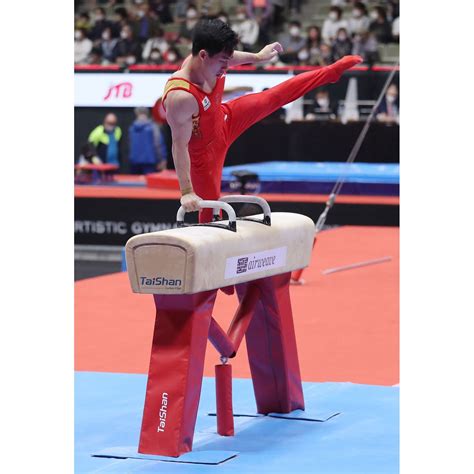 Taishan Competition Pommel Horse - Gymnastics Direct