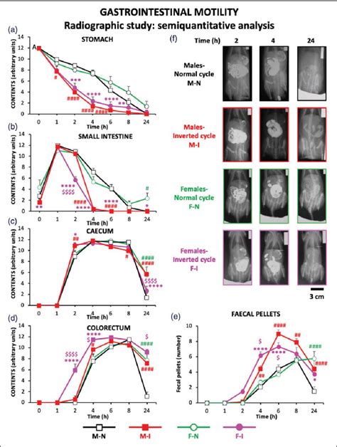 Radiographic Assessment Of The Impact Of Sex And The Circadian Rhythm