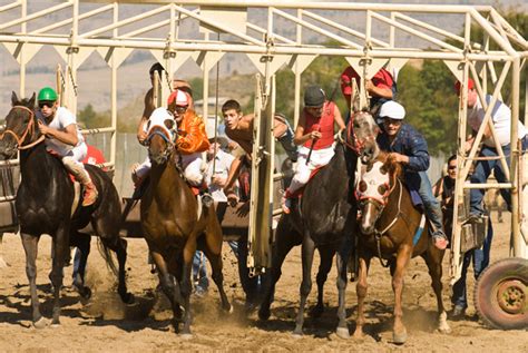 Everyday Photos: Scenes from the Okanogan County Fair