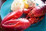 Top Seafood Restaurants in New England | Drive The Nation